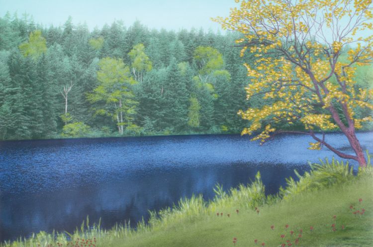 View Across Long Pond, Seal Harbor
