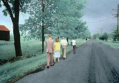 A Country Walk