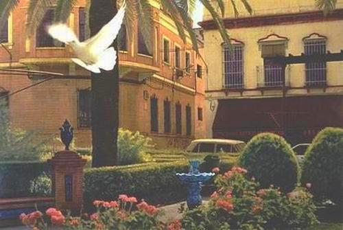 Dove, Spain