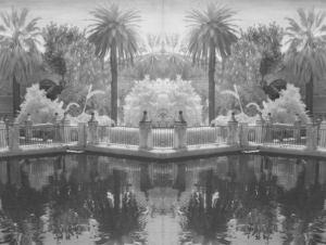Pool with Palm Trees, Spain (greyscale)