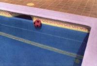 Pool with Soccer Ball