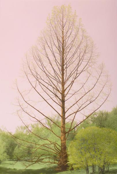 Skeleton Tree Against Pink Sky