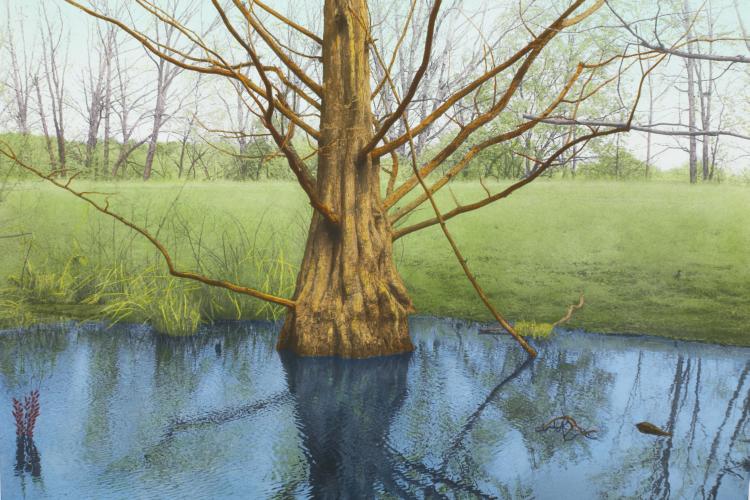 Tree in Ultra Blue Water