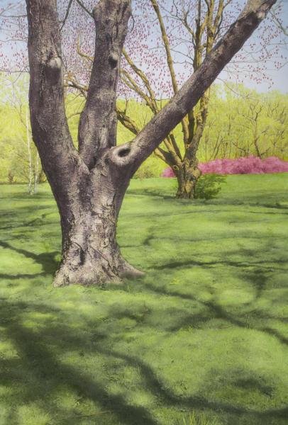 Tree with Red Buds and Pink Bushes