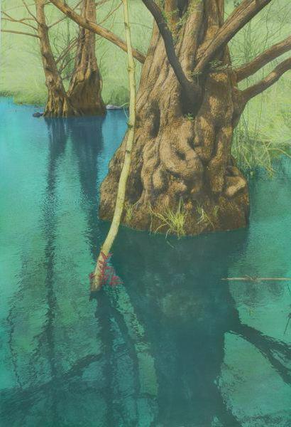 Two Cypresses in Pond