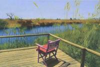 Chair on Deck with Papyrus, Africa