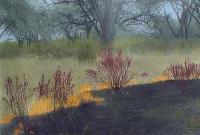 Fire (without Road), Africa