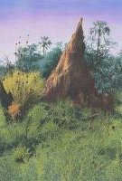 Termite Mound, Africa