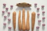 Carrots, Grapes & Fish Heads