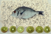 Fish, Kiwi & Popcorn