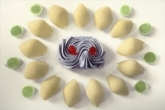 Pastry, Pasta & Leek