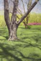Tree with Red Buds and Pink Bushes